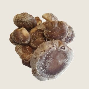 Verse shiitake