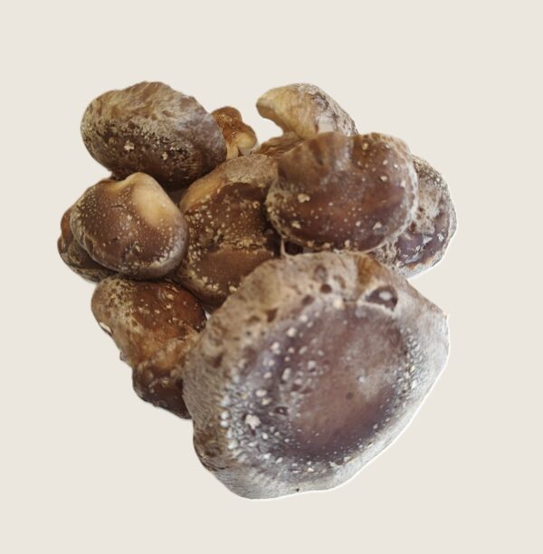 Verse shiitake
