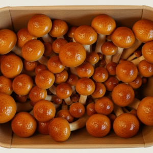 Verse nameko